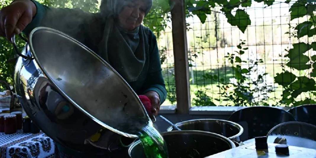 Naneden pekmez yaptı, kapış kapış sattı! Kilosu 200 TL: İstanbul, Bursa, Eskişehir, Sakarya… Hepsi alıyor! 1